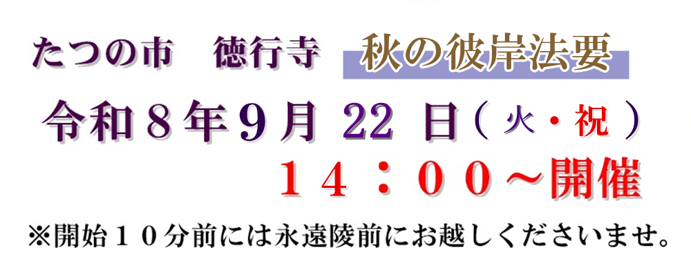 T-Hー22